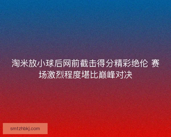 淘米放小球后网前截击得分精彩绝伦 赛场激烈程度堪比巅峰对决