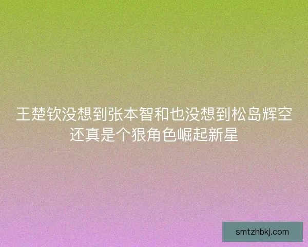 王楚钦没想到张本智和也没想到松岛辉空还真是个狠角色崛起新星